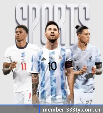 我们在做什么（333Sports）